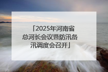 2025年河南省总河长会议暨防汛备汛调度会召开