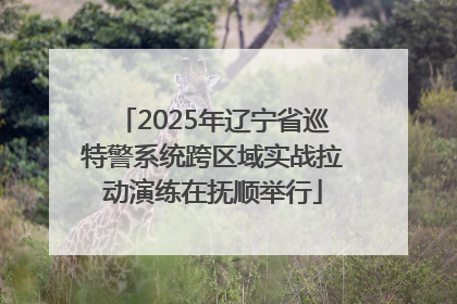 2025年辽宁省巡特警系统跨区域实战拉动演练在抚顺举行