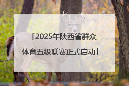 2025年陕西省群众体育五级联赛正式启动