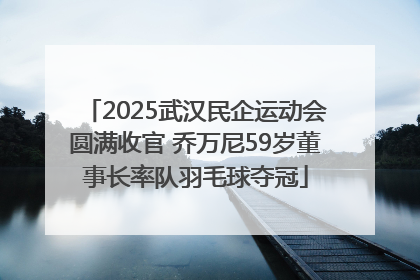 2025武汉民企运动会圆满收官 乔万尼59岁董事长率队羽毛球夺冠