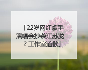 22岁网红歌手演唱会抄袭汪苏泷？工作室道歉