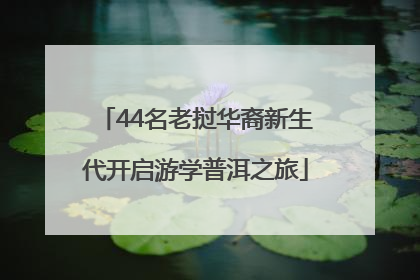 44名老挝华裔新生代开启游学普洱之旅