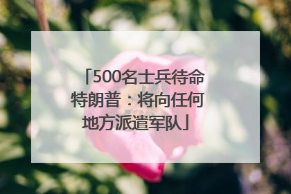 500名士兵待命 特朗普：将向任何地方派遣军队