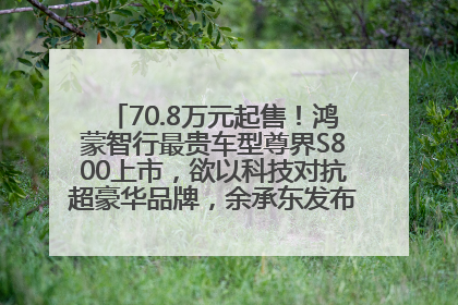 70.8万元起售！鸿蒙智行最贵车型尊界S800上市，欲以科技对抗超豪华品牌，余承东发布会未提及迈巴赫