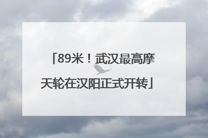 89米！武汉最高摩天轮在汉阳正式开转