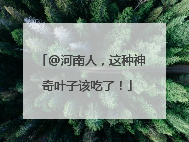 @河南人，这种神奇叶子该吃了！