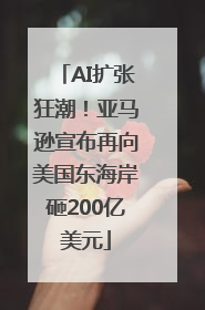AI扩张狂潮！亚马逊宣布再向美国东海岸砸200亿美元