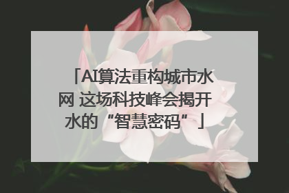 AI算法重构城市水网 这场科技峰会揭开水的“智慧密码”