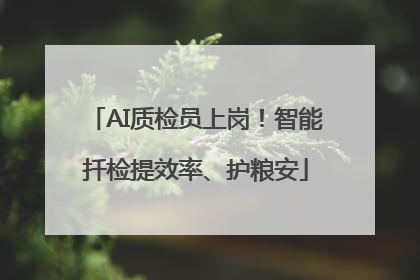 AI质检员上岗！智能扦检提效率、护粮安
