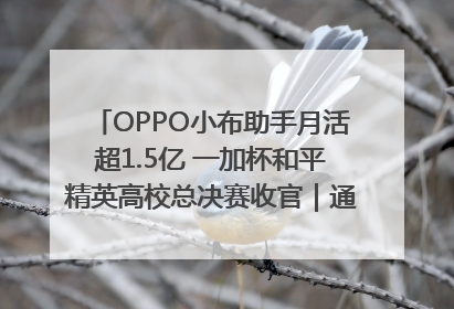 OPPO小布助手月活超1.5亿 一加杯和平精英高校总决赛收官｜通讯Plus·早报