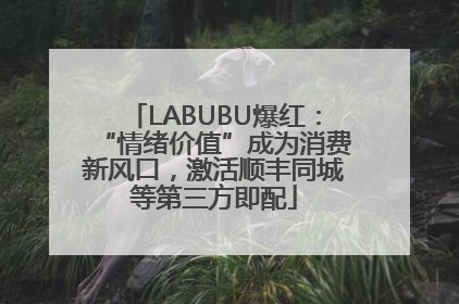 LABUBU爆红：“情绪价值”成为消费新风口，激活顺丰同城等第三方即配
