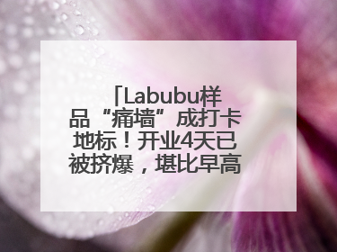 Labubu样品“痛墙”成打卡地标！开业4天已被挤爆，堪比早高峰菜市场